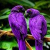 IMG_20170506_073204.jpg
