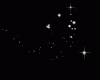-wlsl0103_rose7red-5.gif