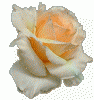 39763511_flover_0035.gif