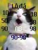 09.jpg