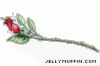 5427f928-694a-492e-9c72-7cb3f3f22025.jpg.gif