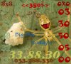 spider8.jpg
