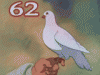 thu--3-BT-VT.gif