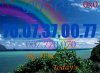 ed47b69d-325c-49e8-86a4-0b3a549d697d.jpg