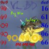 radar-bee-s.jpg