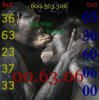 morethanhuman-10.jpg