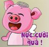 NUC CUOI QUA.JPG