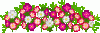 1097598lgcsepnnyx.gif