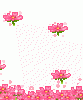 582727ynm9svagg7.gif