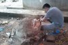 images790934_2lh.jpg