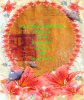 Chieu Chi So De.jpg