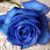 Jacklyn21