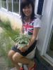 huy2010