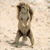 EVELYNLYR
