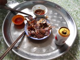 Phạm Thường