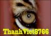 thanhviet2208