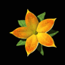 iuthodia38