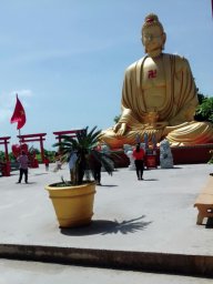 nhớ người