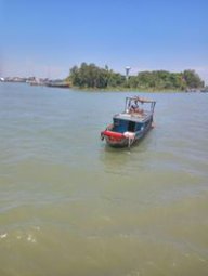Bàng Thông@@@