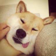 VÀOO BỜ