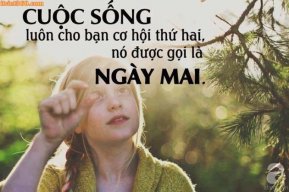 súp lơ