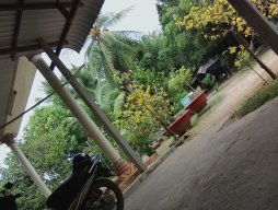 nguyenvantientho