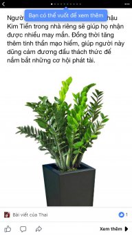 cơm-gạo