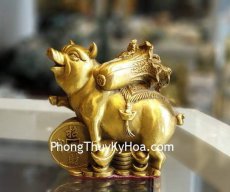 khoinguyen16