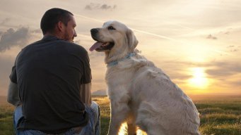 James BCornman