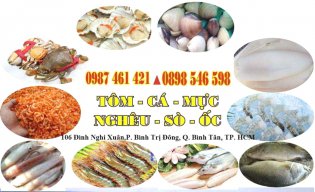 Hải sabr Hoài Linh