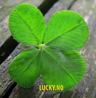 Lucky.N0