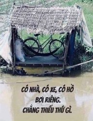 lan rừng