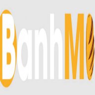 banhmidotwin