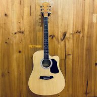 dan guitar acoustic