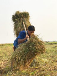 Quyết Dương