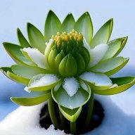 Kimphuongqn