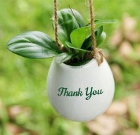 Mơ Mộng hết tiền