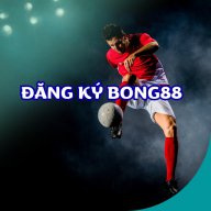 dangkybong88casa