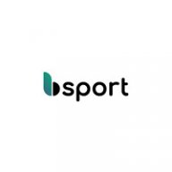 bsportt art