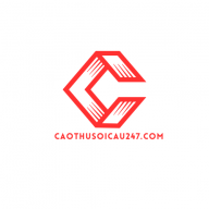caothusoicau247