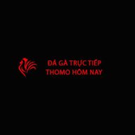 dagatructiep39