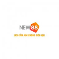 65new88 Com