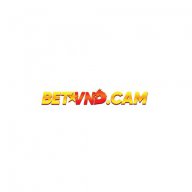 betvndcam
