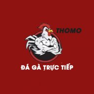 dagatructiep1