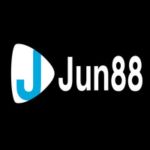 jun8848net