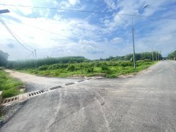 Số của trời.