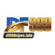 df999vipvninfo