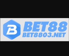 bet8803net