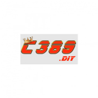 c389diy
