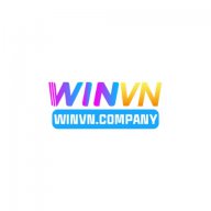 Winvncompany